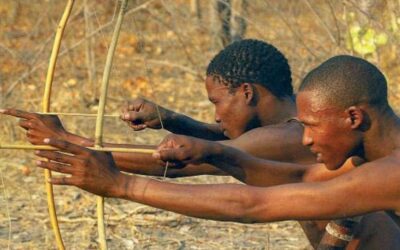 Êtes-vous chasseur ou gardien ? Comment l’histoire d’un peuple ancestral s’applique à nos organisations